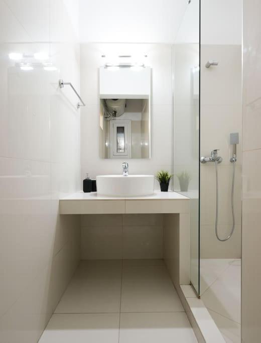 Apartment Syntagma Square, 70sqm Pentelis Sunny Athens